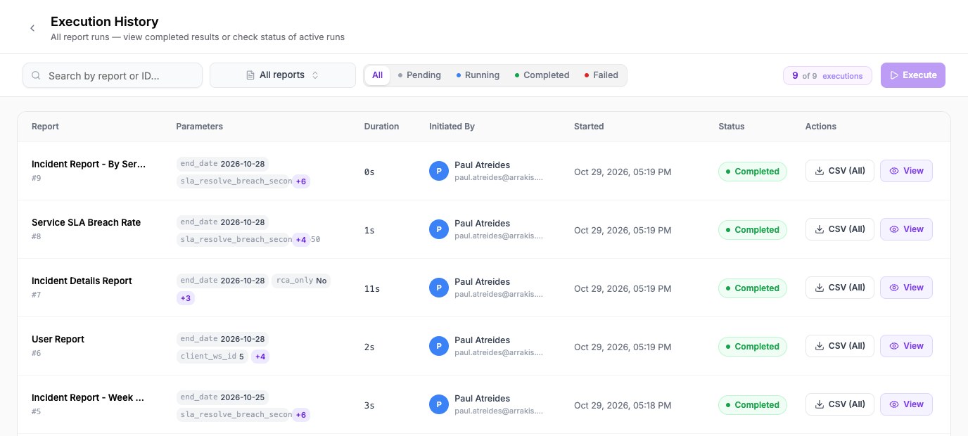 Execution History listing report runs with their parameters, duration, who started them, start time, status and a CSV and View button
